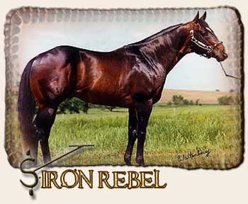 Iron Rebel
