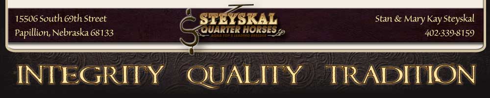 Steyskal Quarter Horses