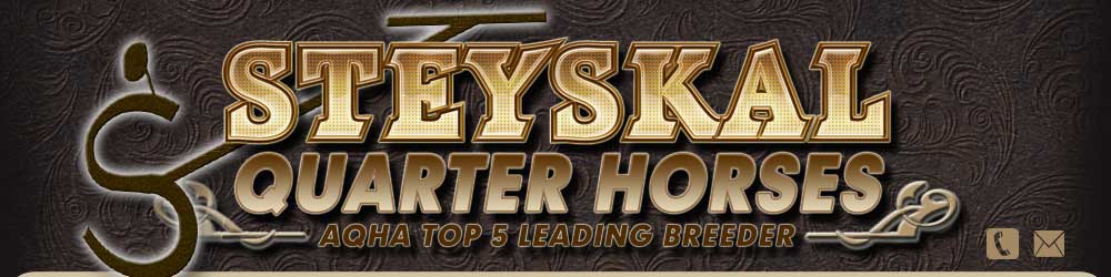 Steyskal Quarter Horses